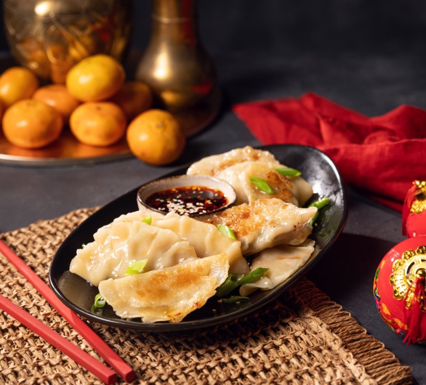 Homemade Dumplings