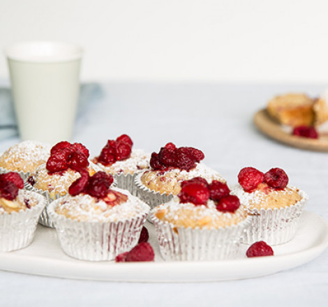 Basic Muffins